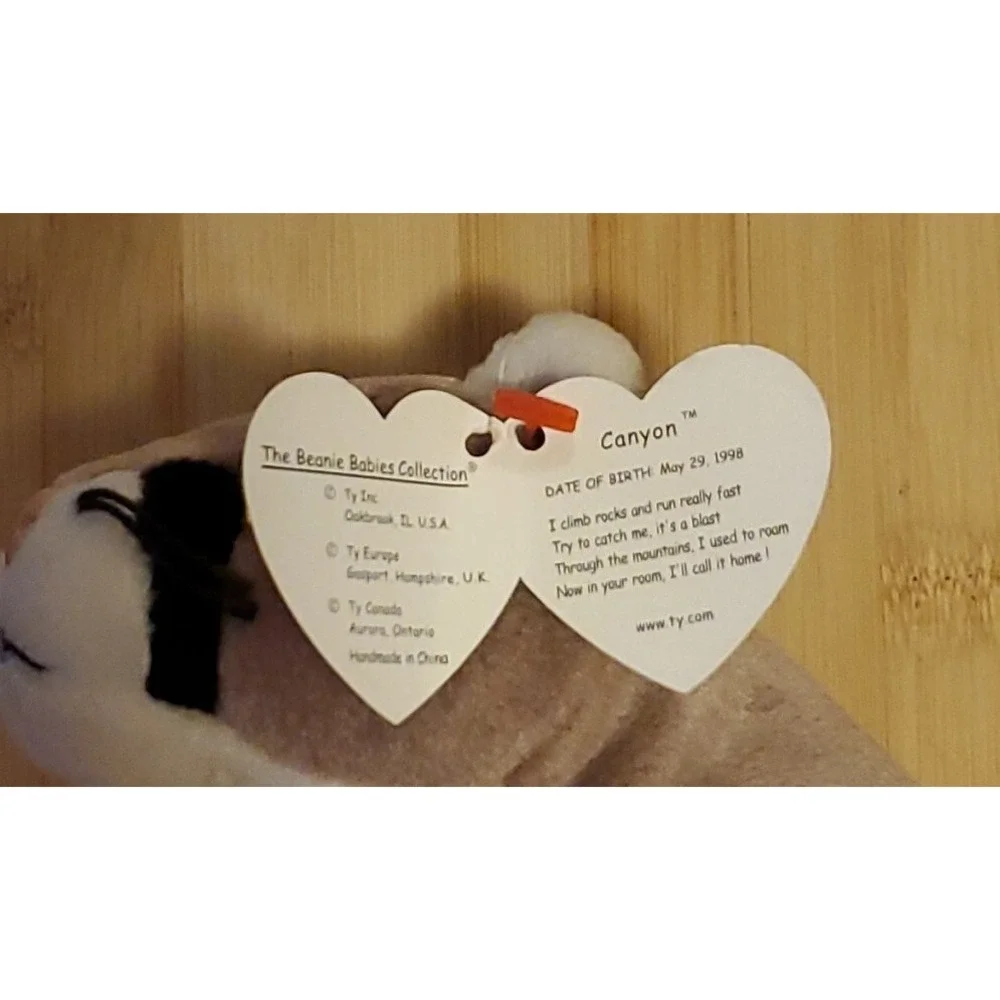 TY Beanie Baby Canyon‎ the Cougar